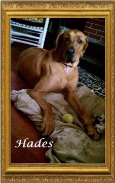 Hades 2007-2015